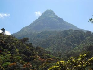 Adam's Peak - sacred mountain since prehistoric times