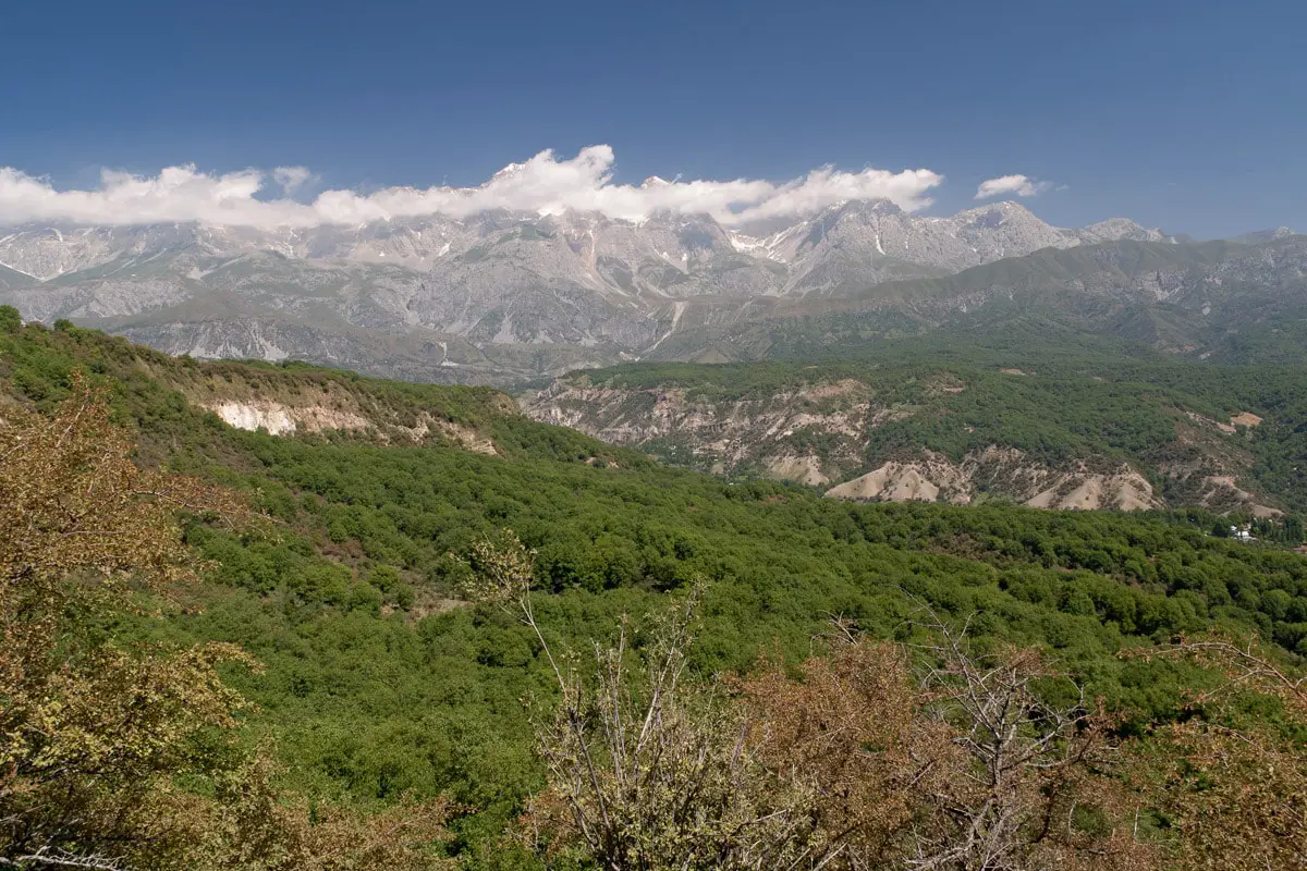 Arslanbob Forest - world's largest walnut forest, Kyrgyzstan