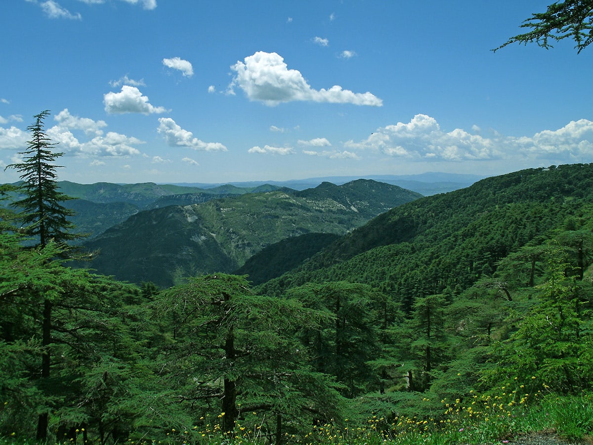 Atlas mountains in Blida, Algeria