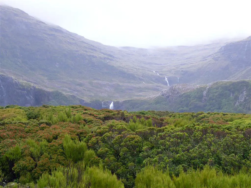 Landscape in the western part of Auckland Island