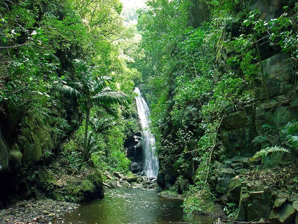 Baleine Falls, Saint Vincent