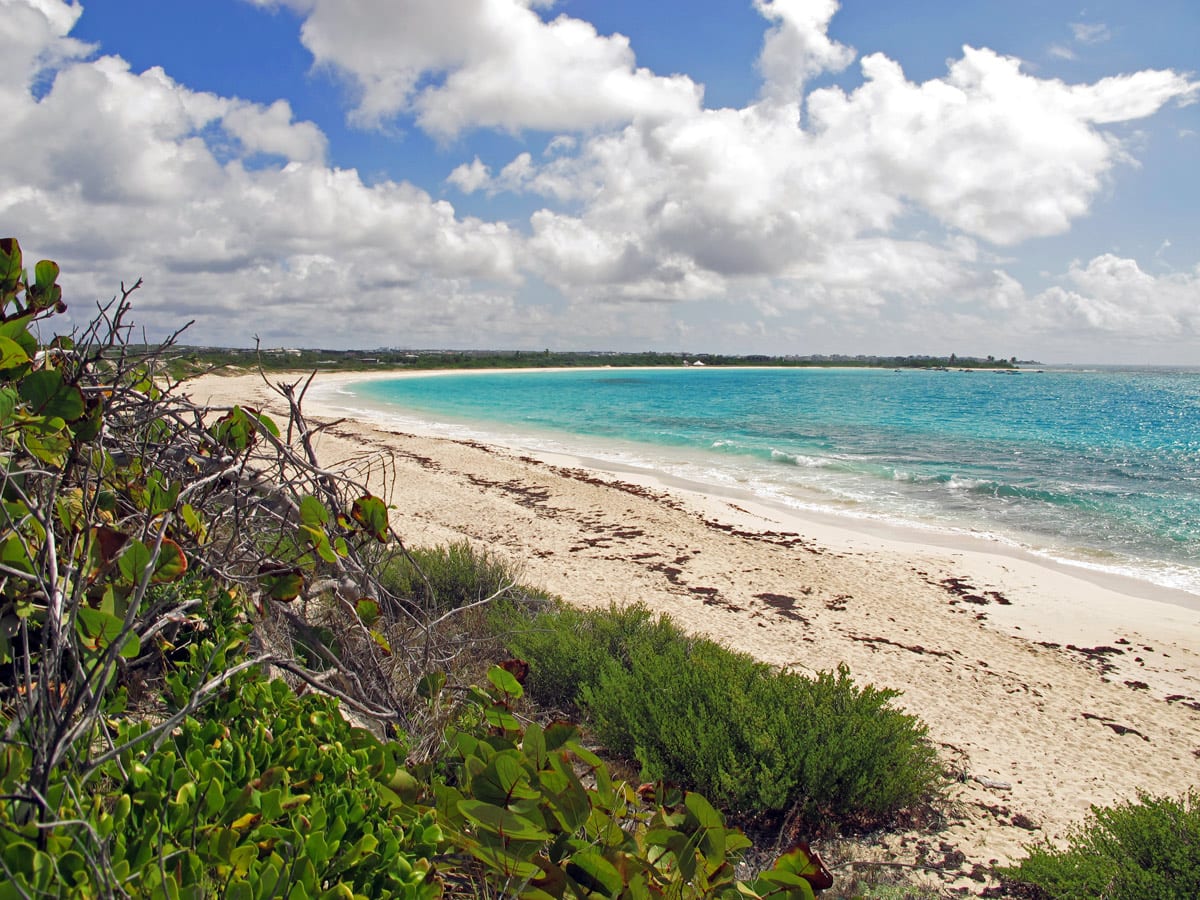 Beach in Anguilla