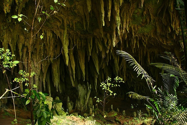 Cave in Bosavi crater, Papua New Guinea
