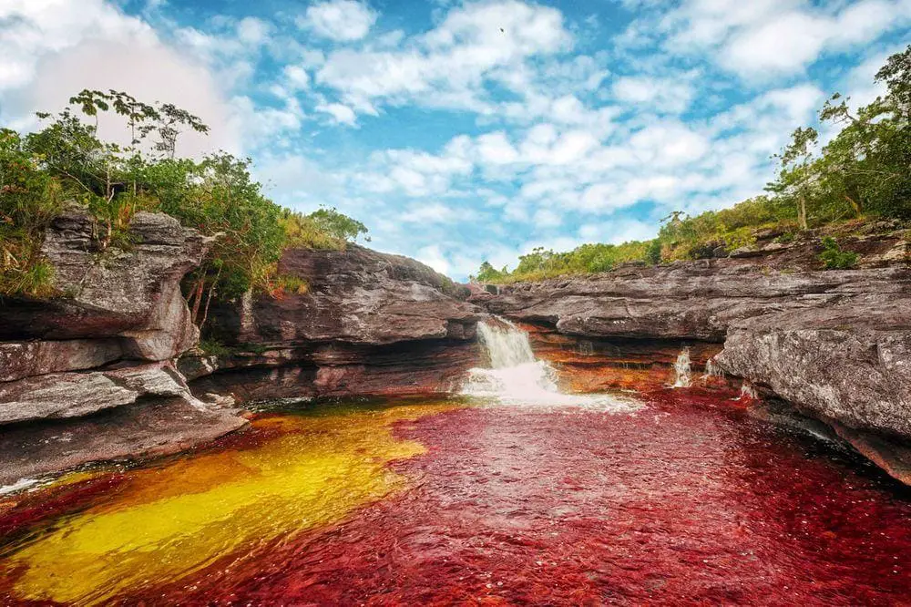 Caño Cristales with waterfall and the red Macarenia clavigera, Colombia. September 2012