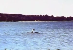 Most famous image of Lake Champlain monster, taken in 1977 by Sandra Mansi