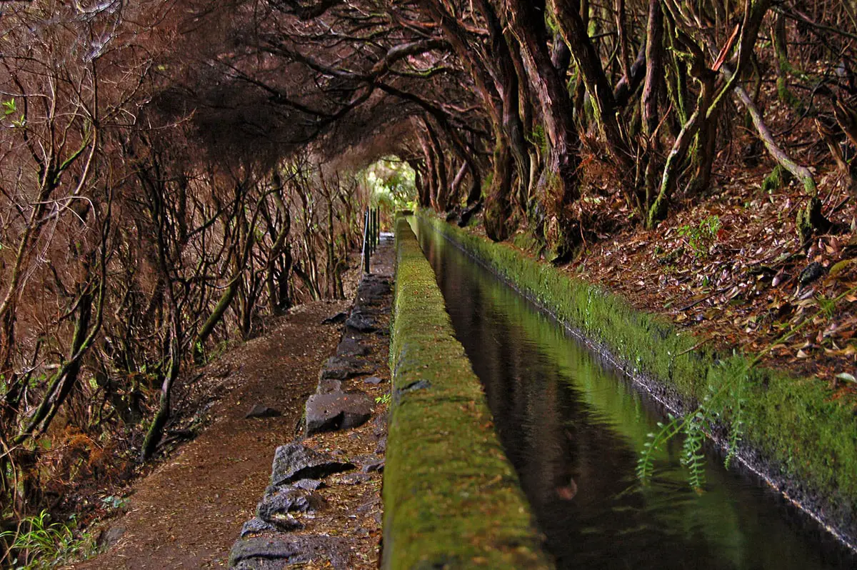 Water supply channel in laurel forest, Madeira