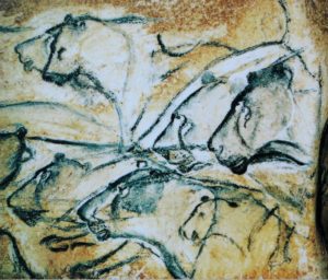 Grotte Chauvet, drawings of lionesses