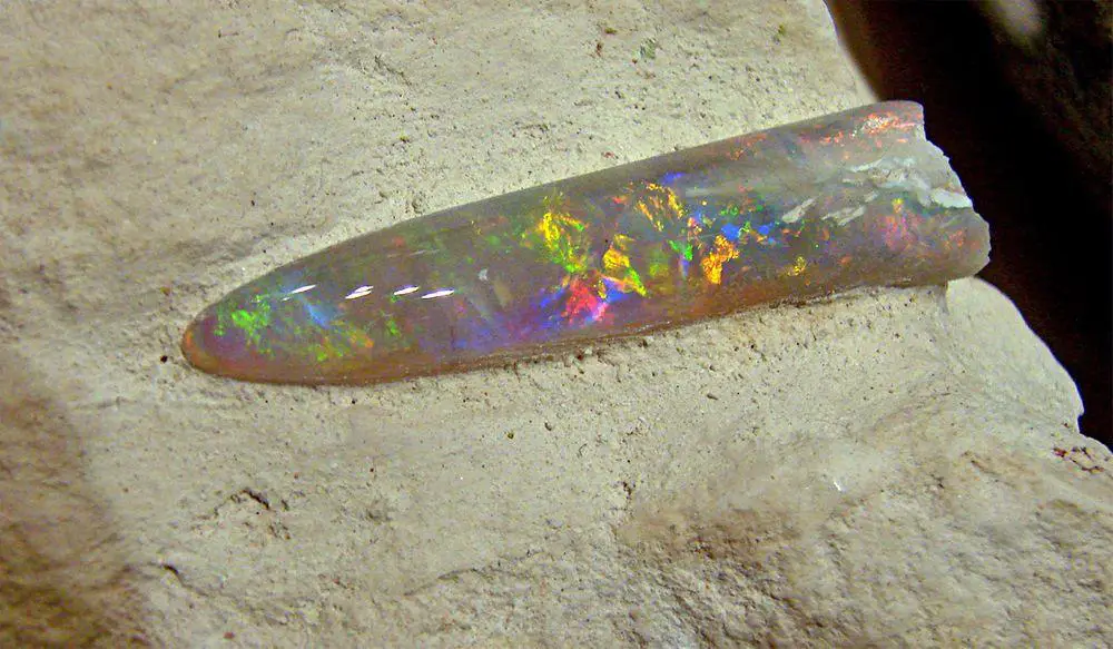 Opalised belemnite from Coober Pedy