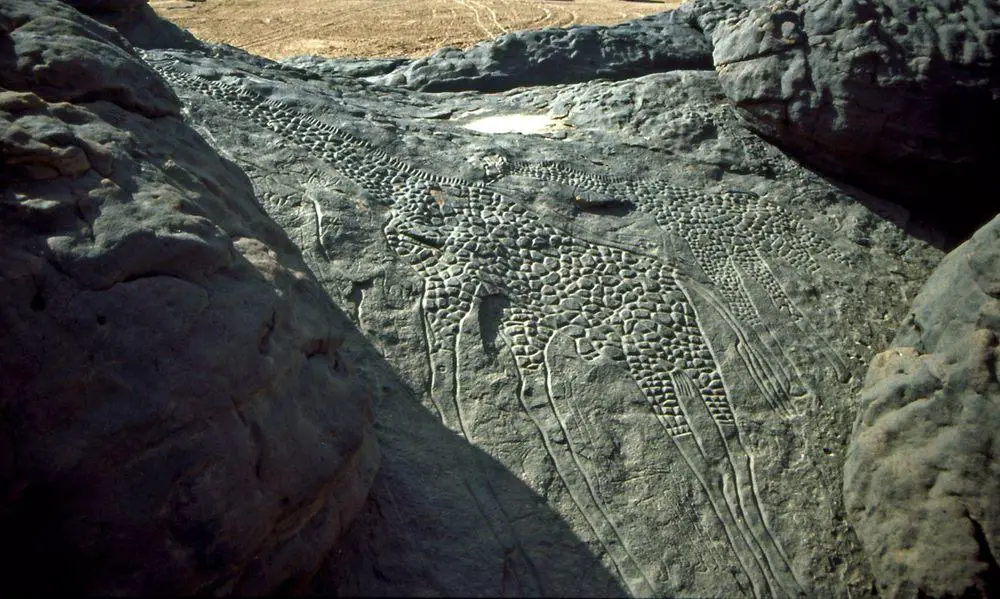 Dabous giraffes - world's largest prehistoric petroglyphs in Niger