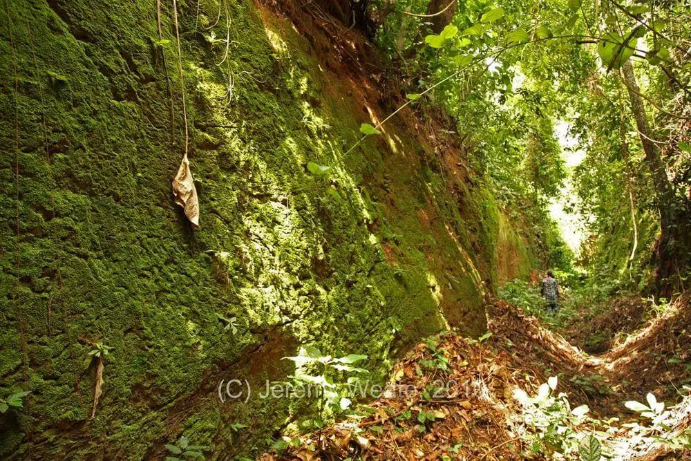 The wall of Sungbo's Eredo ditch, Nigeria