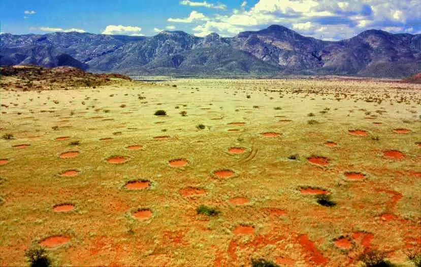 The mysterious fairy rings of Namibia