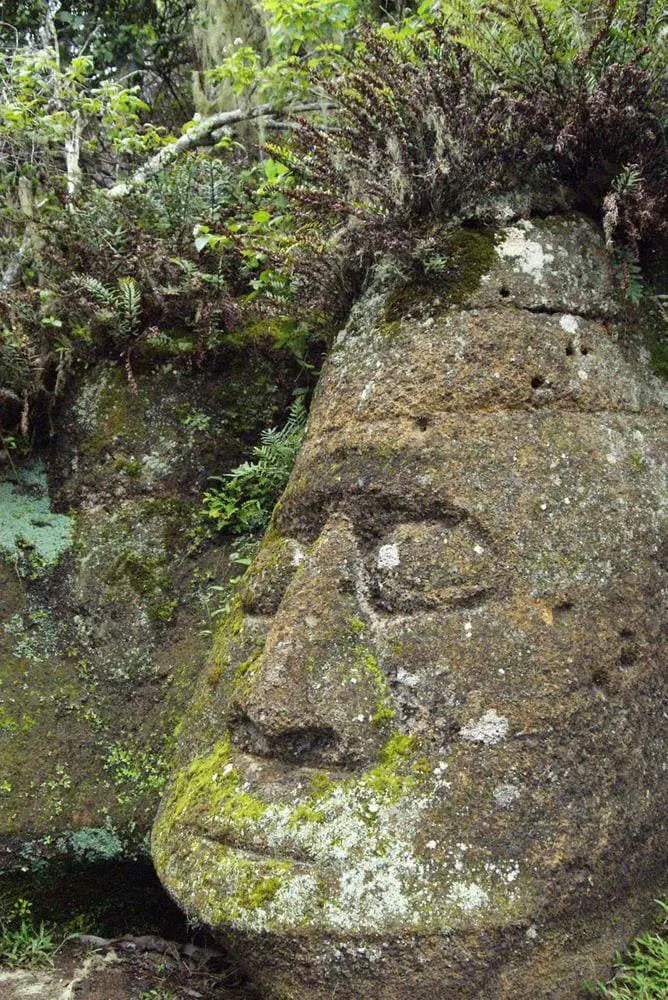 Stone head of Floreana, Galapagos