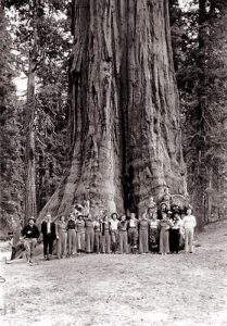 General Grant Tree sometimes around 1936