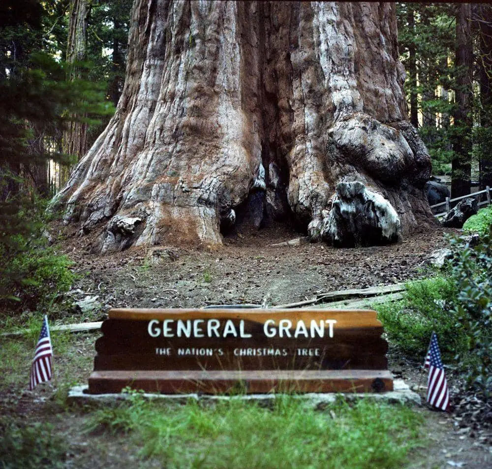 Base of General Grant Tree, California
