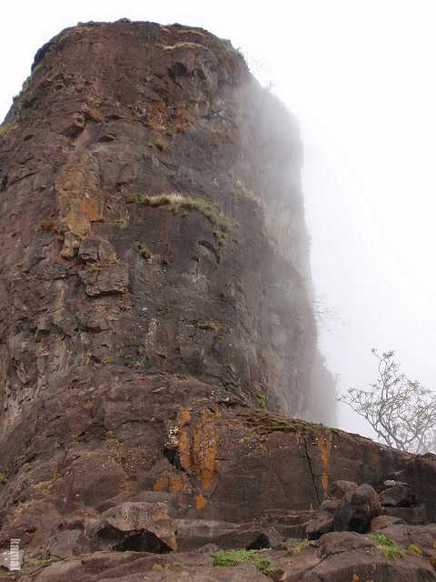 Gorakhgad cliff, Maharashtra