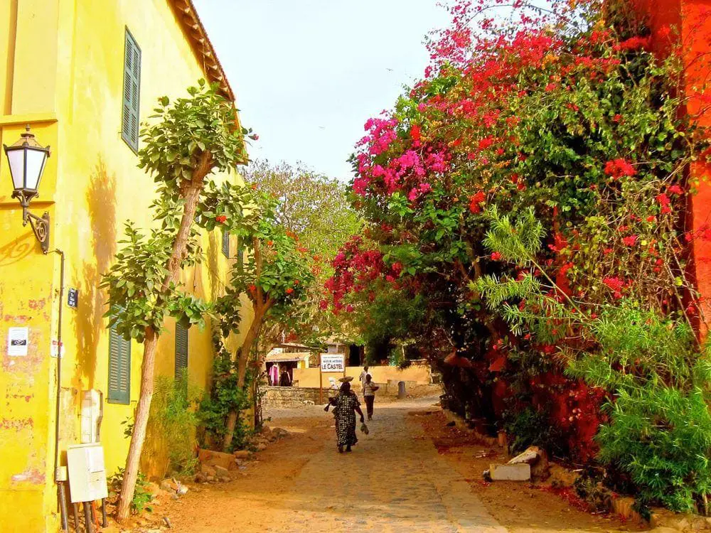 Street in Gorée, Senegal - town without cars