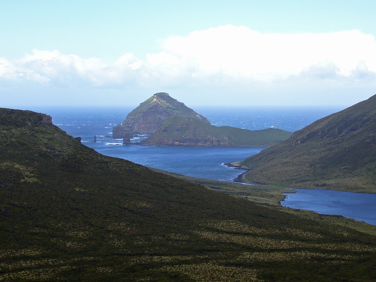 Landscape, Campbell Island with Jacquemart Island in the background