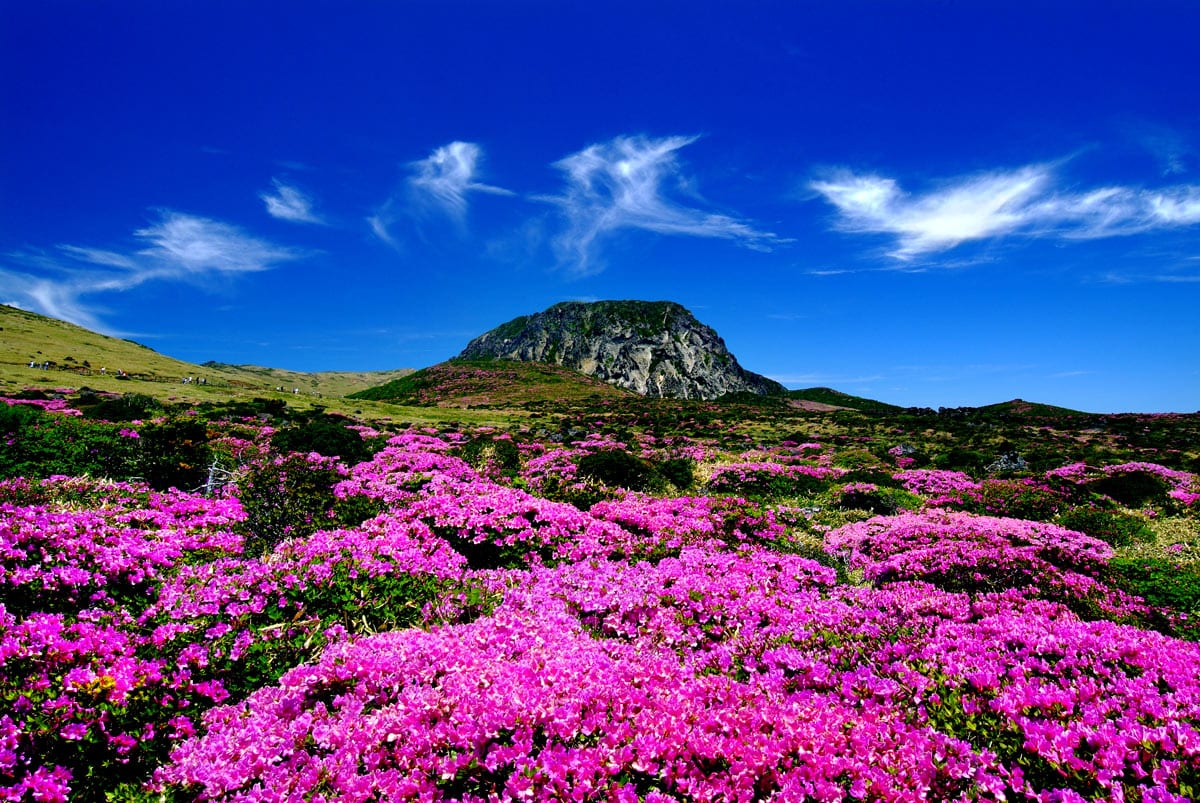 Landscape in Jeju Island, South Korea