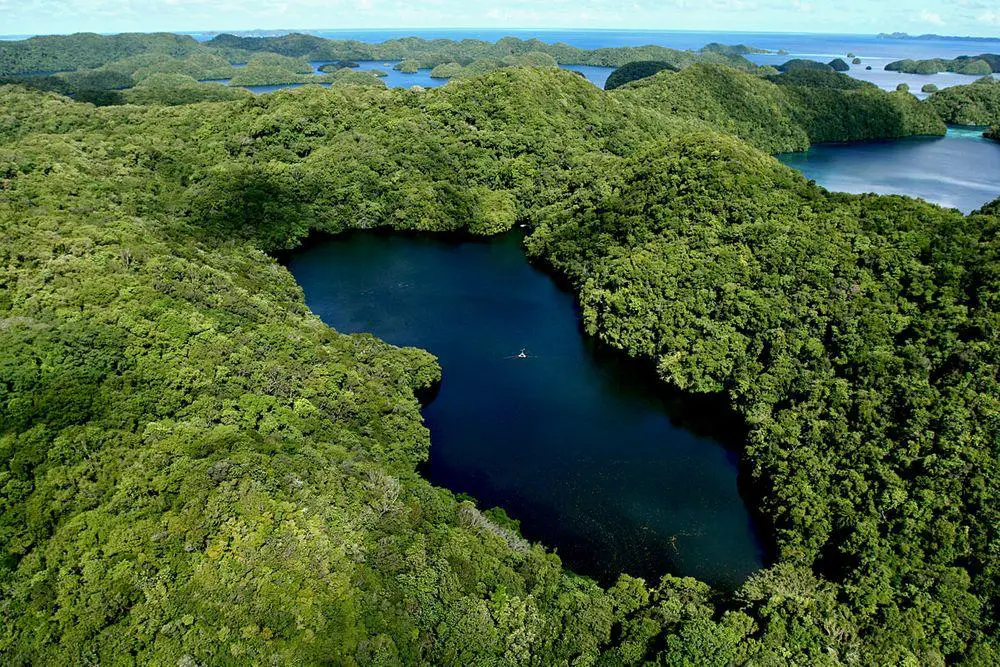 Jellyfish Lake from air with swarms of jellyfish visible, Palau