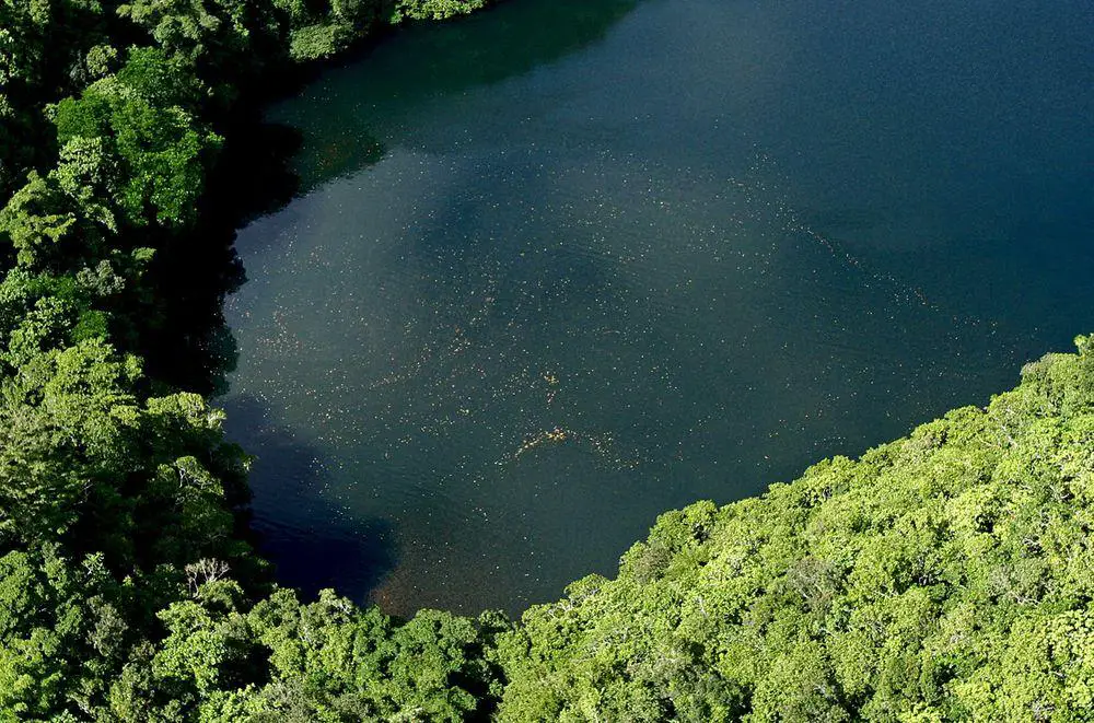 Jellyfish Lake from air, swarms of jellyfish in the sun