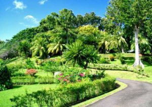St. Vincent and Grenadines Botanic Gardens