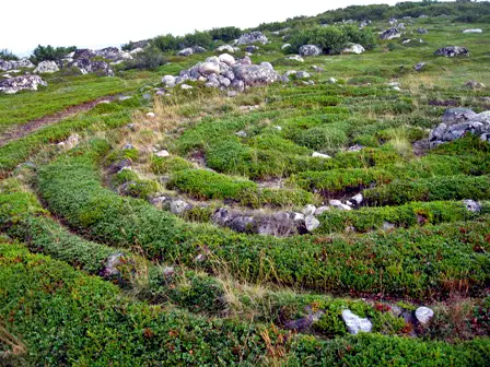 Bolshoi Zayatsky Island stone labyrinths, Russia