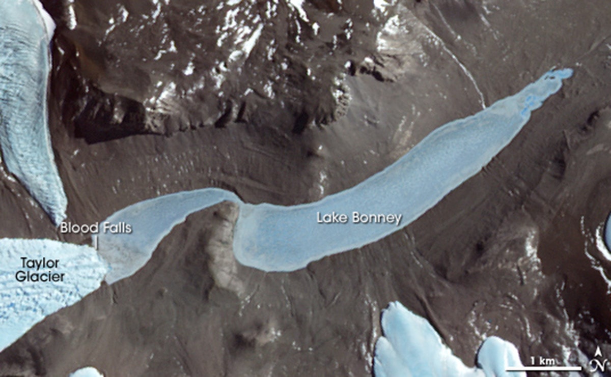 Lake Bonney from satellite, Antarctica. Inscription "Lake Bonney" is on the eastern lobe.