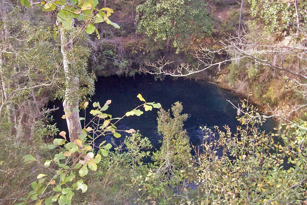 Big Dismal sinkhole, Florida