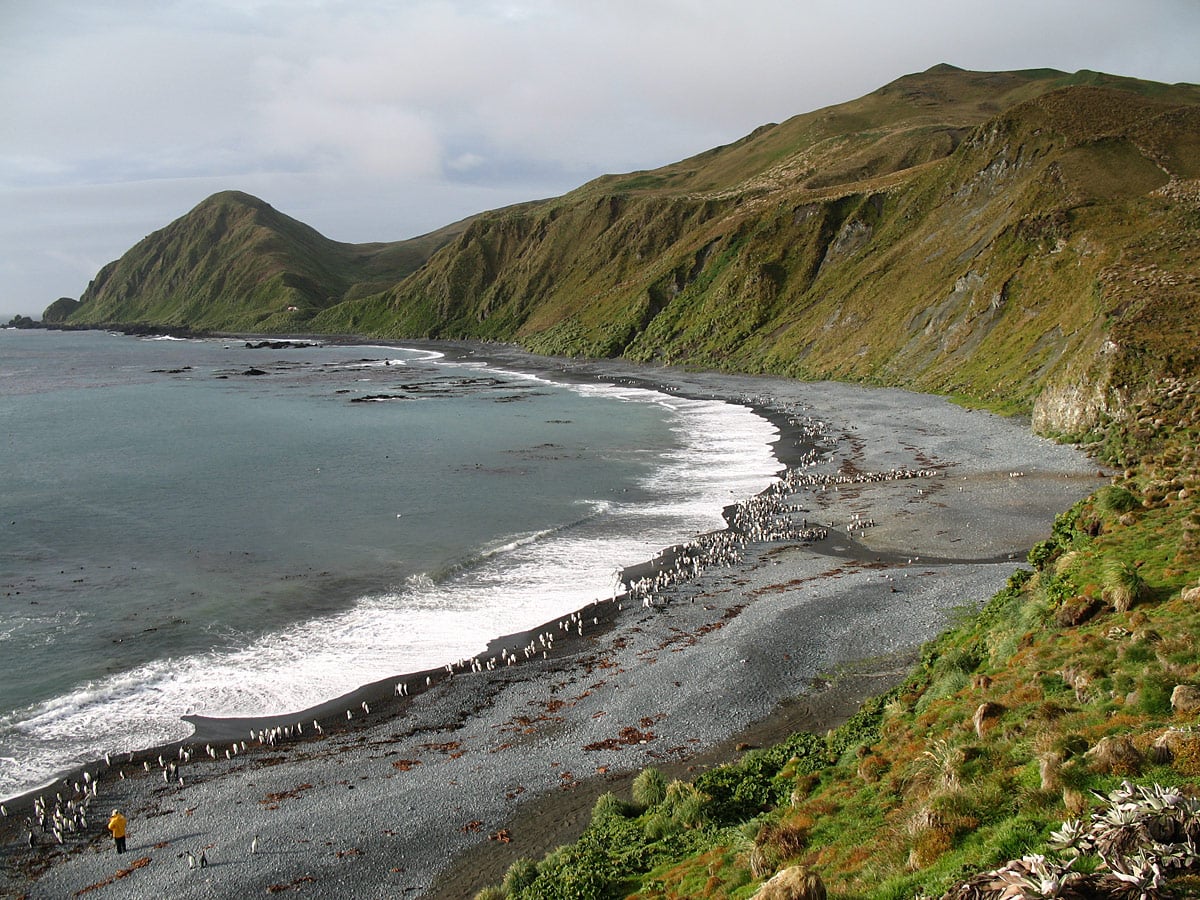 Macquarie Island, Sandy Bay