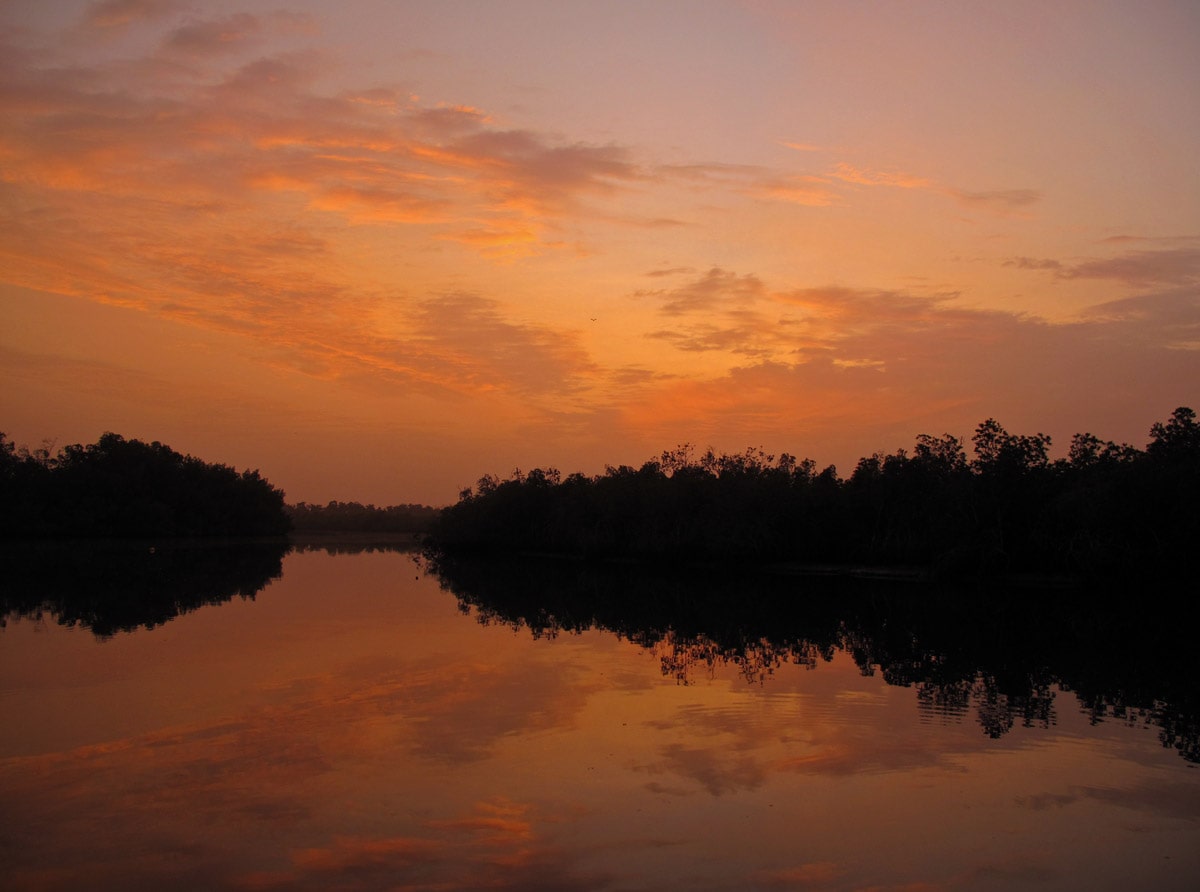 Night falls over the mysterious Makasutu Forest, Gambia