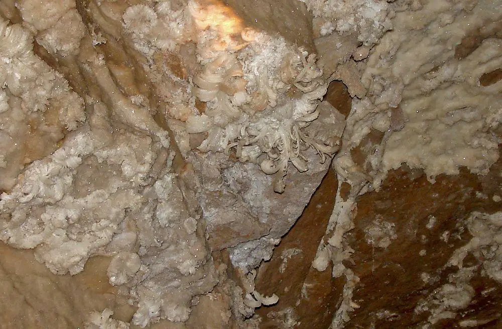 Selenite flowers in Mammoth cave, United States