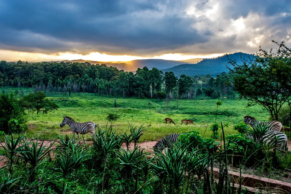 Mlilwane Wildlife Sanctuary, eSwatini