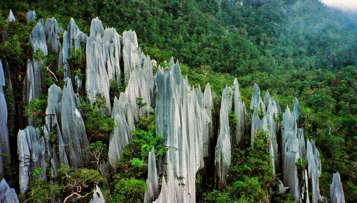 Mount Api pinnacles, Malaysia - one of the most unusual karst landscapes