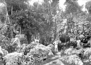A cave in Nauru, 1917. It is possible that this is Moqua Cave