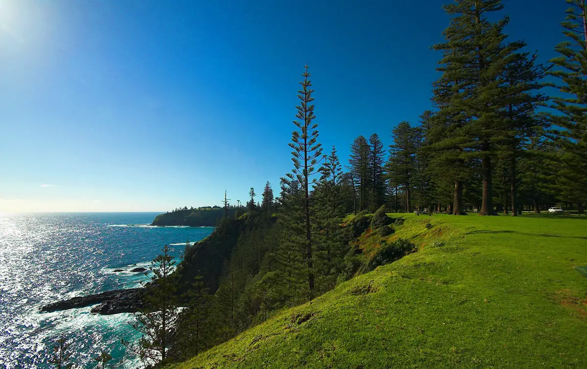 Norfolk Pines, Puppy Point, Norfolk Island. This location is a bit outside the national park