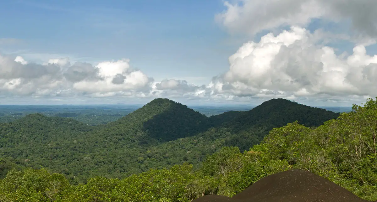 Sight from Nouragues Inselberg, French Guiana