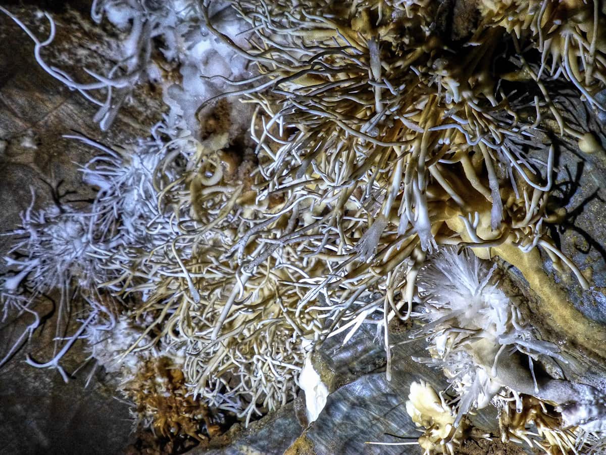 Aragonite formations, Ochtinská Aragonite Cave in Slovakia