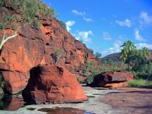 Palm Valley - oasis in the centre of the enormous deserts of Central Australia