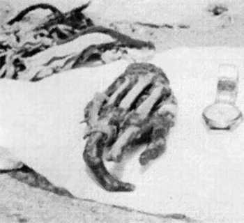 The mysterious hand in Pangboche Monastery - before it disappeared