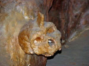 Stalagmite has covered a skull of hominin in Petralona Cave, Greece