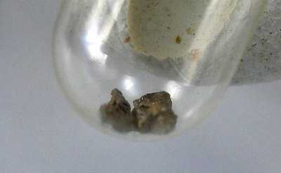 Sample of potarite found near Kaieteur. Each grain - some 2 mm large