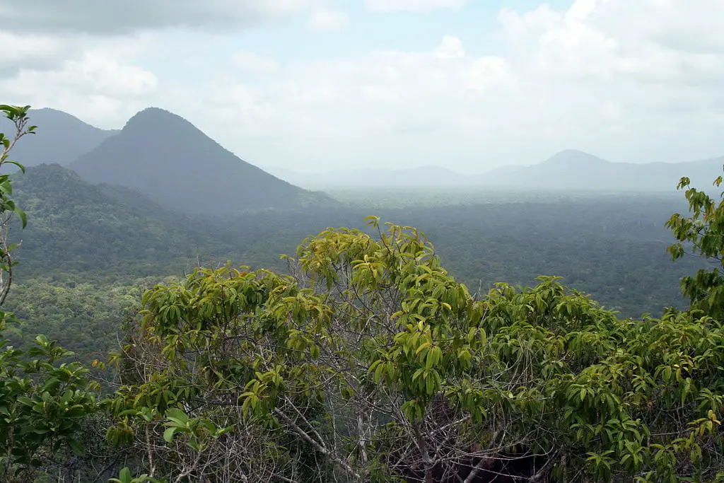 Eastern Kanuku Mountains near Rewa River, Guyana