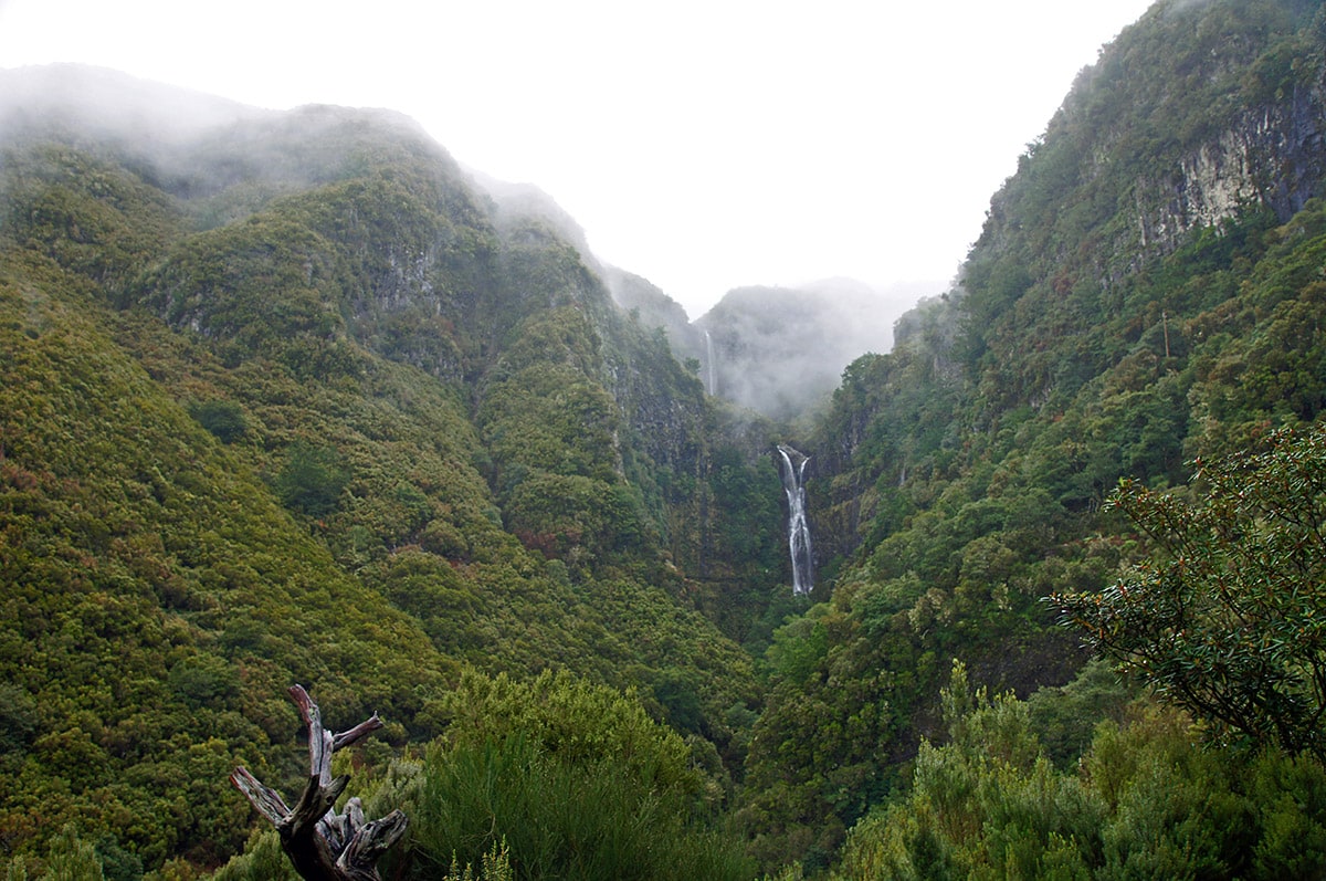 Risco Falls, Madeira
