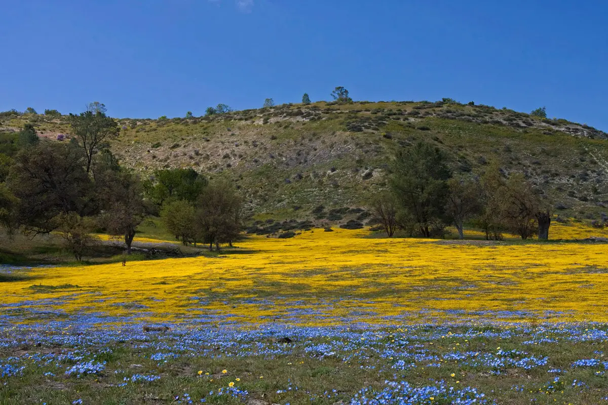 Shell Creek Road meadows, California