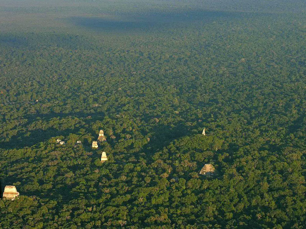 Ruins of Tikal in the endless forests of Petén, Guatemala