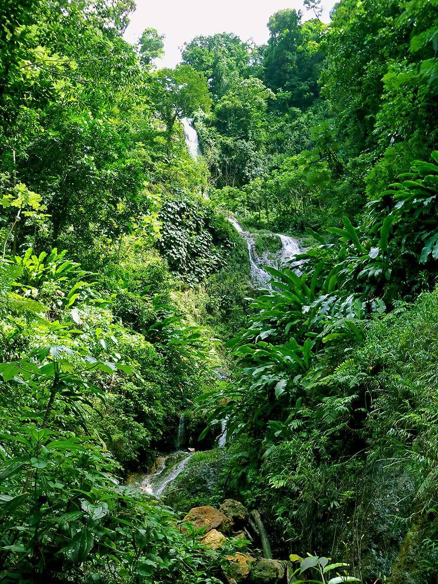 Tufton Hall Waterfall, Grenada