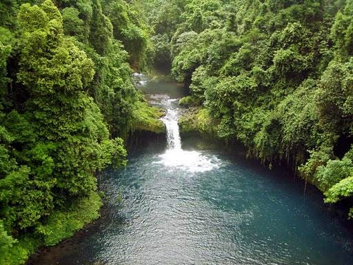 Rainforest and waterfall at Luba Crater in Bioko Island, Equatorial Guinea