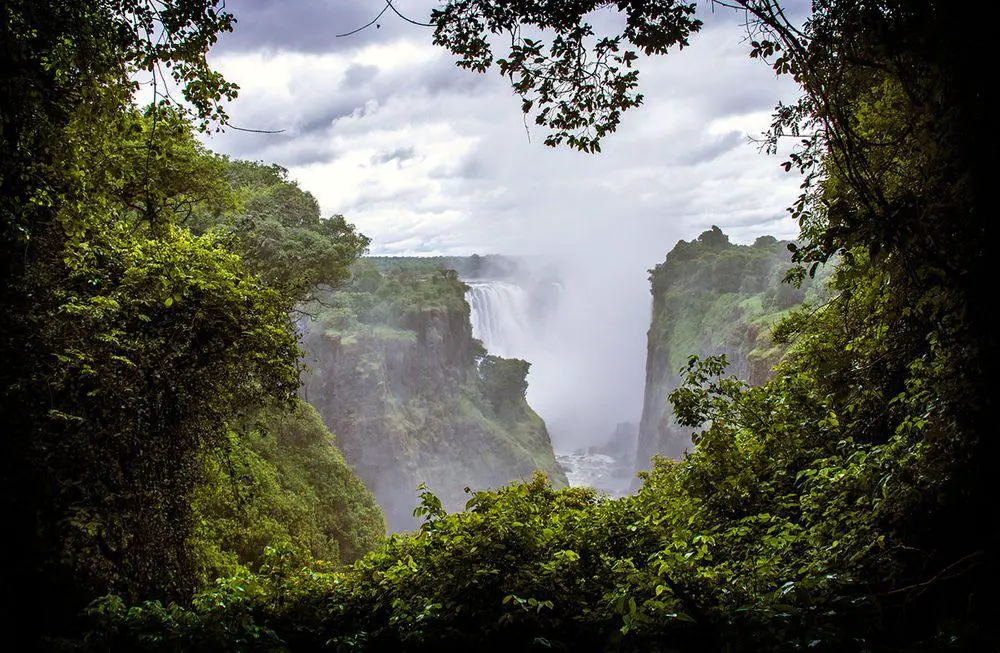 Rainforest at Victoria Falls