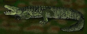 Volia vitiensis - extinct terrestrial crocodile, Fiji