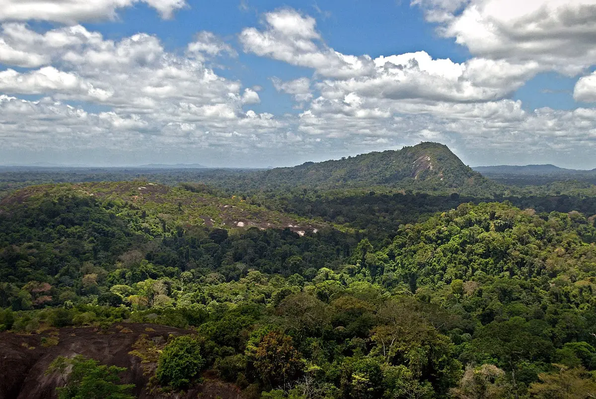 View from Voltzberg to the east, Suriname